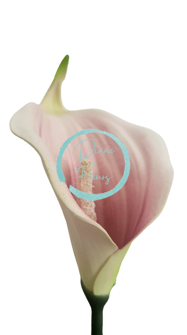 Floare de spumă cap de Calla Crin 13cm crem, verde, roz flori artificiale