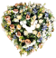 Coroană funerara de pin Inima Exclusiv Bujori artificiali, Trandafiri, Delphinium si Accesorii 100cm x 90cm