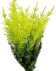 Dekoracja Zieleń 42cm sztuczna