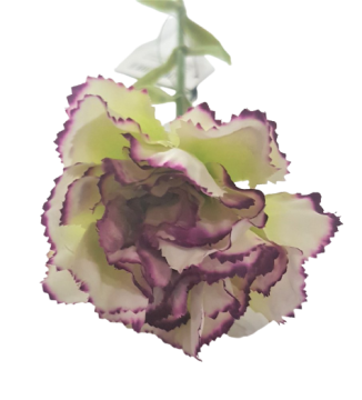 Garoafe artificiale - Color - crem