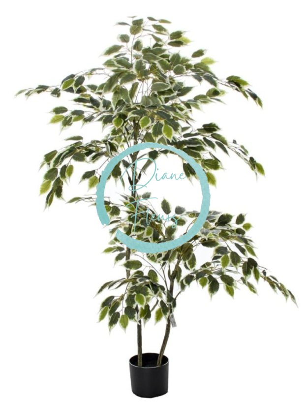 Mesterséges fa Ficus cserépben 150cm