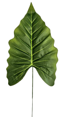 Liść Alocasia sztuczny 44cm x 18cm