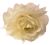 Artificial Rose Head Ø 10cm Cream