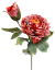 Pezzo di peonia essiccata Esclusiva 1+1 66cm artificiale arancione scuro