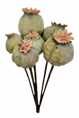 Artificial poppies Bouquet x6 25cm Green