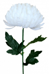 Künstliche Chrysantheme am Stiel Exclusive 70cm Weiß