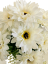 Букет от магаритки х11 32 см бял изкуствен
