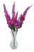 Umjetna Vrbica (Lythrum salicaria)