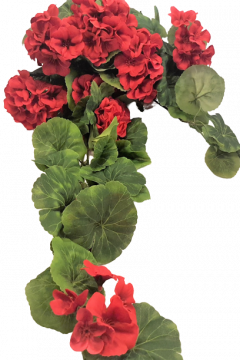 Pelargónie, Muškáty - Kvalitné umelé kvety - krásna dekorácia pre každú príležitosť - Exclusive