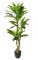 Künstliche Baum Dracaena im Topf 140cm