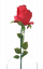 Ruža kusová červená 48cm umelá