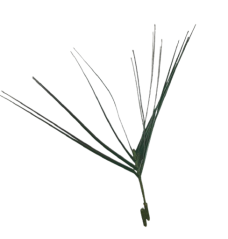 Decorare iarbă 20cm verde