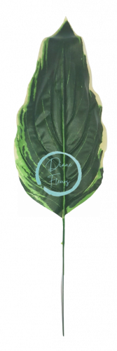 Liść Hosta Bohyšek zielony 43cm sztuczny