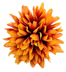 Cvetna glavica krizanteme O 10cm oranžna umetna