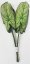 List Caladium zelený 46cm / cena za 1ks umělý