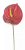 Umetni anthurium