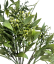 Изкуствена зелена декорация 38 см