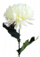 Künstliche Chrysantheme am Stiel Exclusive 60cm Cremefarben