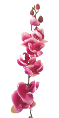 Luxuriöse künstliche Orchidee x9 Weinrote 102cm Silikon, Gummi