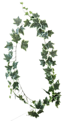 Artificial Garland Ivy 200cm