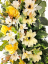 Smuteční věnec esíčko umělé růže, gerbery, clematis a doplňky 150cm x 50cm