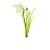 Umjetna Visibaba (Galanthus)