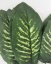 Artificial Leaf Decoration 2 Green 13 inches (33cm) Price is for 1piece