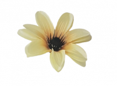 Clematis hlava květu Ø 11cm žlutá umělá