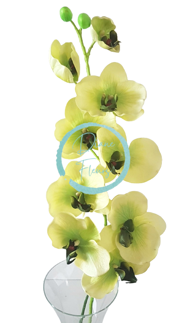 Luxusní umělá orchidea x9 zelená 95cm silikonová, gumová