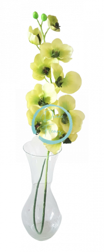 Luxury Artificial Orchid x9 Green 95cm silicone, rubber