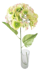 Hortenzija krem zelena, roza 60cm umetna
