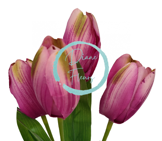 Buket tulipana x5 31cm ljubičasta