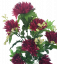 Chryzantéma vetva x7 75cm vínová umelá
