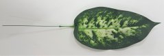 Artificial Leaf diefenbachie Green 14,6 inches (37cm)