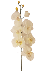 Umelá orchidea kusová 70cm krémová
