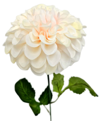 Dahlia kusová 60cm umelá krémová, ružová