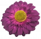 Gerbera Daisy hlava květu O 10cm fialová umělá
