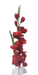 Gladiola 78cm piros művirág