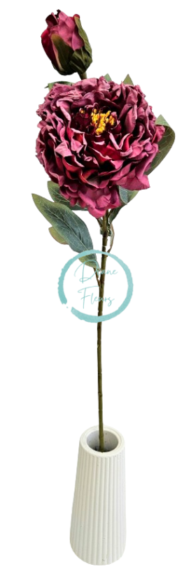 Posušena potonika Exclusive 1+1 66cm umetna bordo