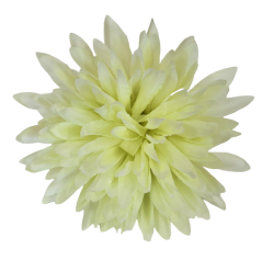 Cvetna glavica krizanteme O 10cm mint umetna