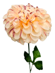 Dahlia kusová 60cm umelá broskyňová