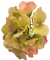 Hortenzia hlava kvetu Ø 14cm zelená a ružová umelá