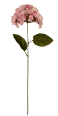Hortenzia ružová 60cm umelá