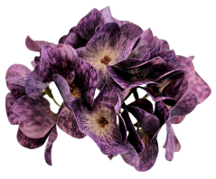 Hortenziafej 12cm művirág lila