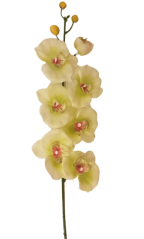 Orchidea vázában 70cm világos zöld művirág