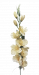 Artificial Gladiolus