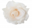 Główka kwiatu róży O 10cm st. sztuczny róż