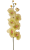 Orchidea vázában 70cm világos zöld művirág