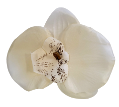 Künstliche Orchidee Kopf 10cm x 8cm Beige - Der Preis gilt für eine Packung mit 24 Stück