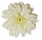 Dahlia "Dahlia" cvjetna glava O 12cm bijela i krem ??umjetna